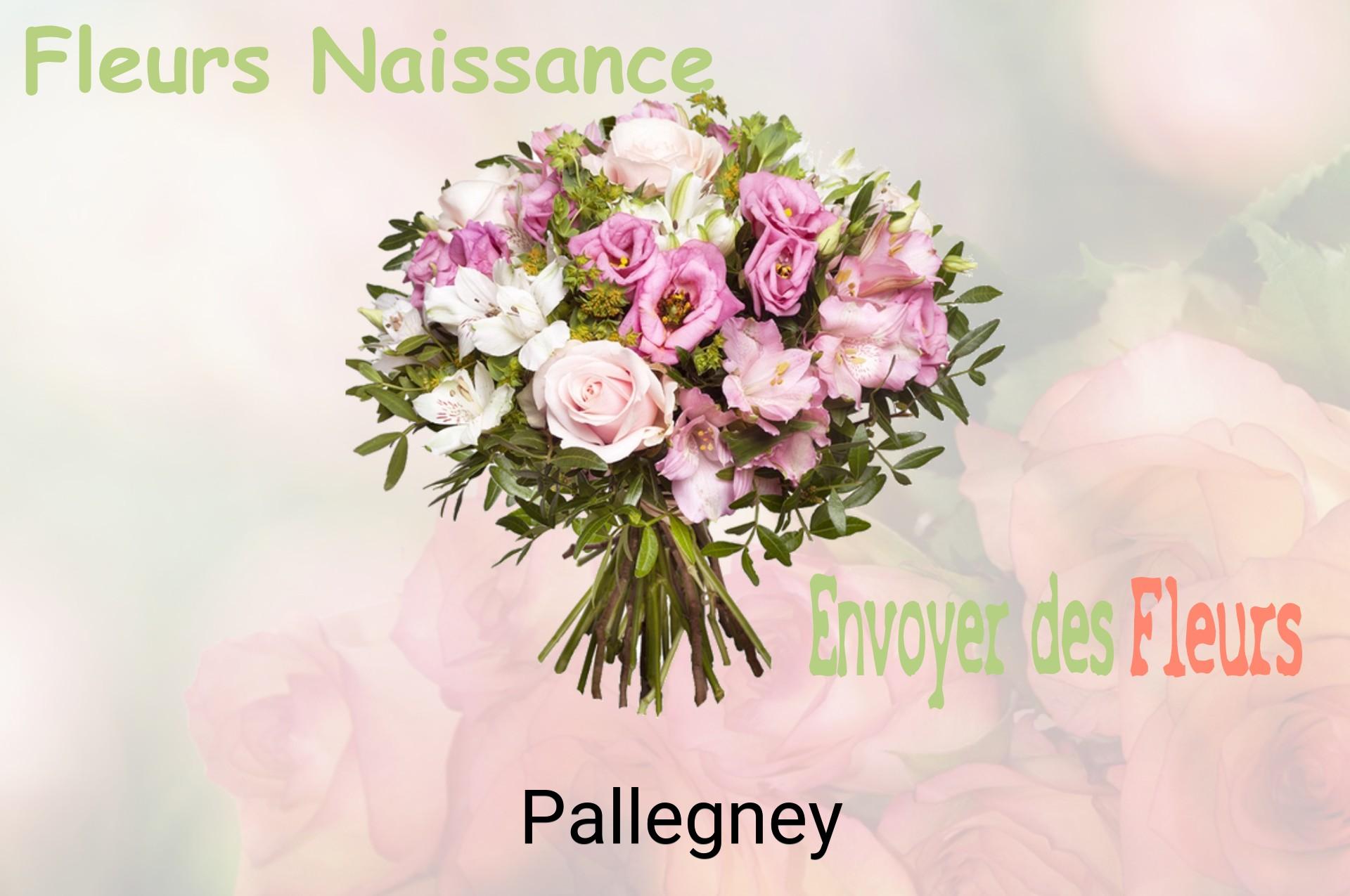 Bouquet de fleurs de naissance livré à Pallegney